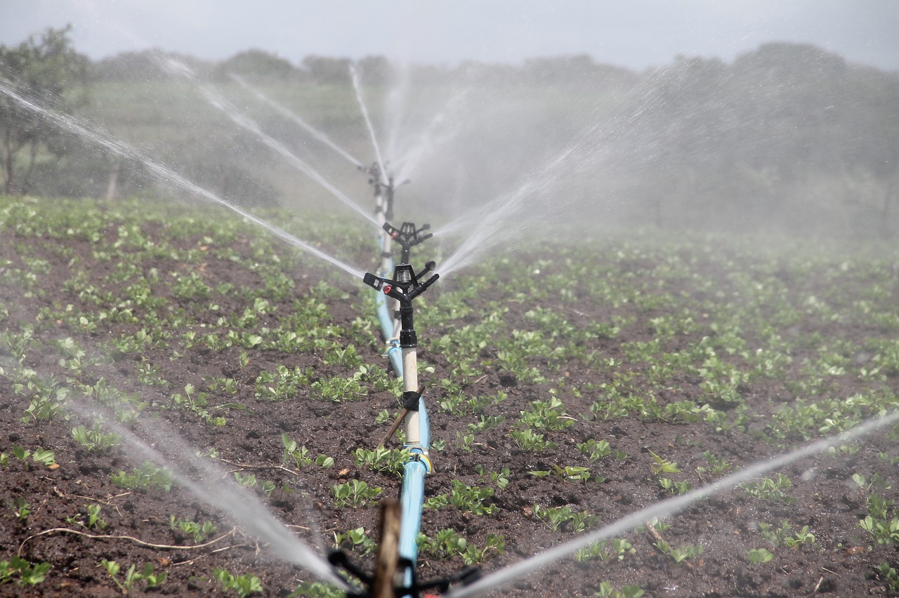 irrigation-588941_1280-2-1-1.jpg