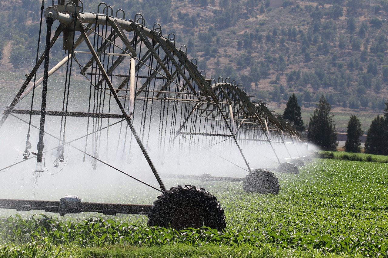 irrigation-6986021_1280-1-1-1.jpg