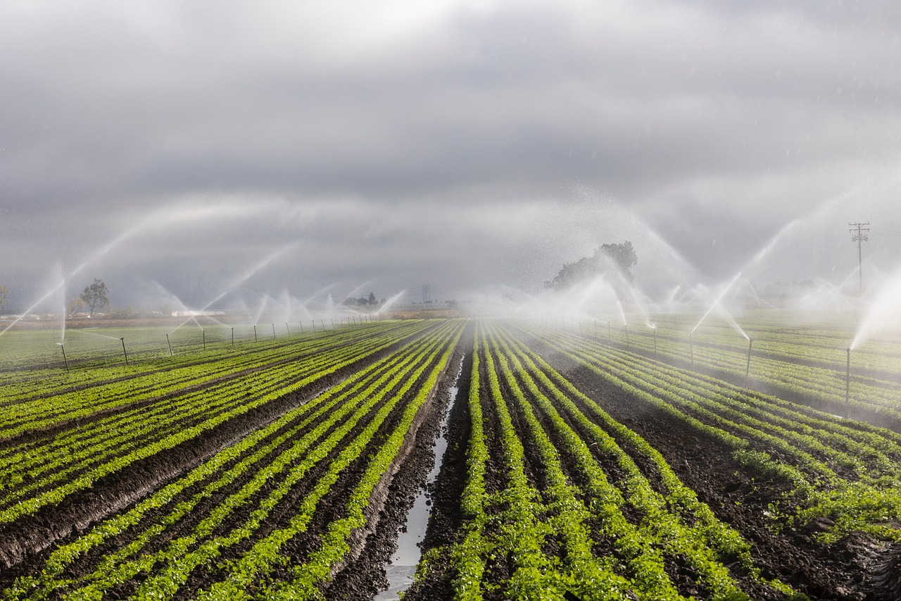 irrigation-7262563_1280-1-1-1.jpg