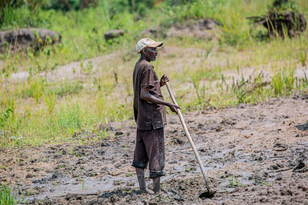 Elderly Farmer holding a Hoe