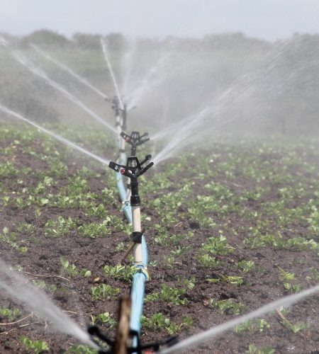 irrigation-588941_1280-1-1-1-1.jpg